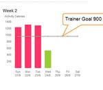 Trainer Goal 2.jpg