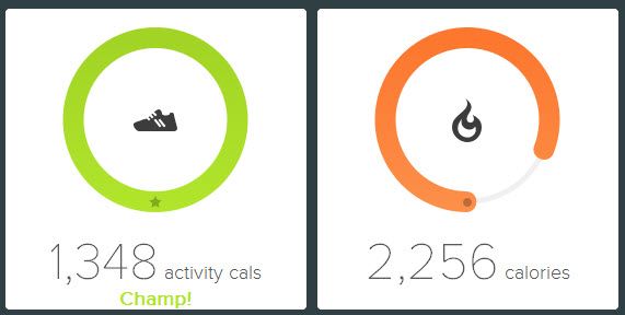 Calorie Gap.jpg