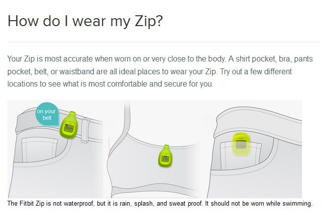Zip - wearing.jpg