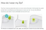 Zip - wearing.jpg