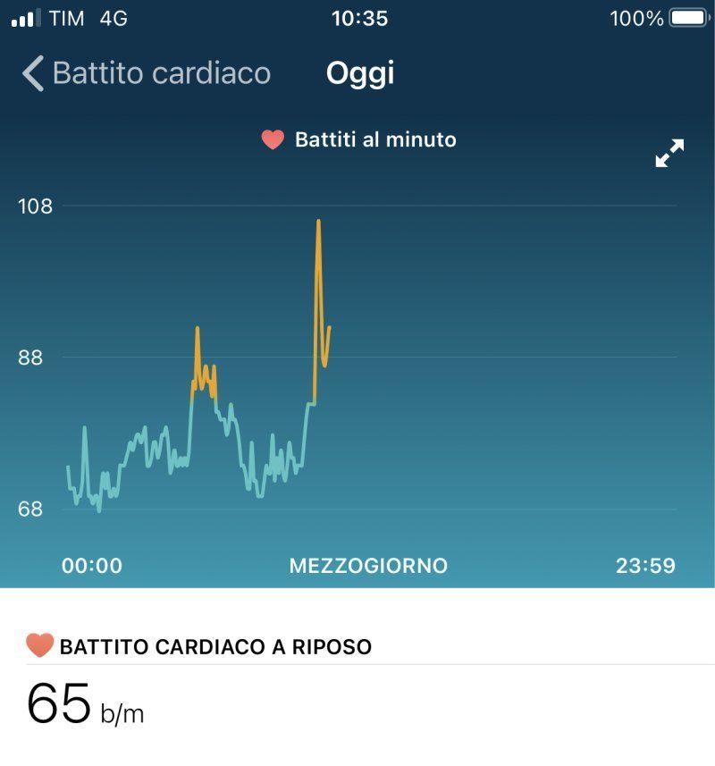 fit1.jpg