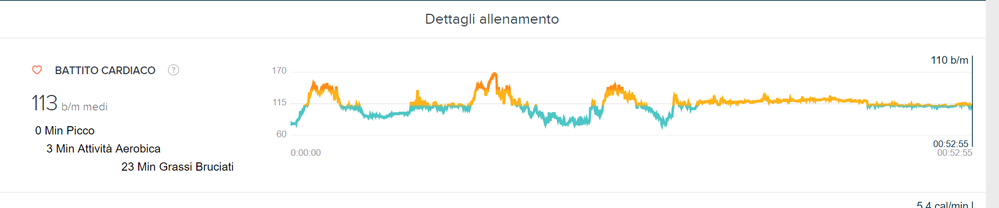 Fitbit Sense
