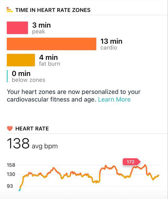 Fitbit best sale fat burn