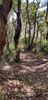 20210122_155424_resized.jpg