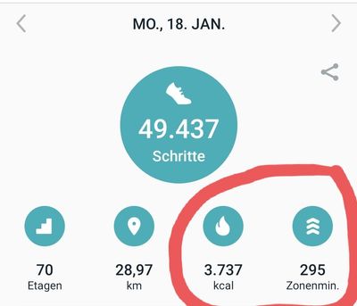 Screenshot_20210208-184913_Fitbit.jpg
