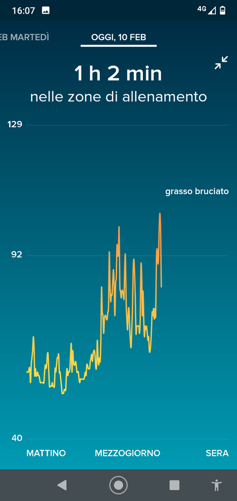 fitbit