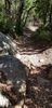 20210217_101424_resized.jpg