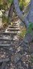 20210217_095625_resized.jpg