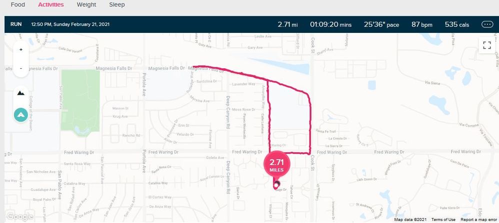 Fitbit Website.JPG