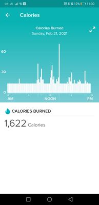 Screenshot_20210221_233033_com.fitbit.FitbitMobile.jpg