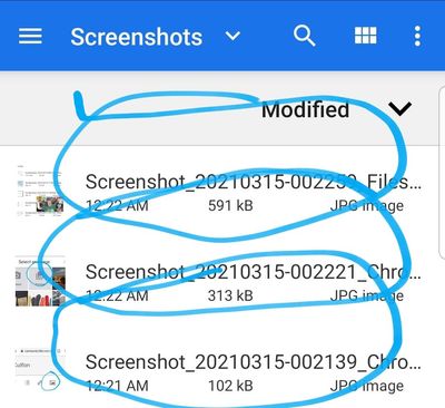 Screenshot_20210315-002330_Files.jpg