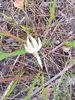 20210403_152923_resized.jpg