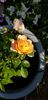 20210406_155012_resized.jpg