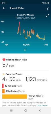Screenshot_20210411-201532_Fitbit.jpg