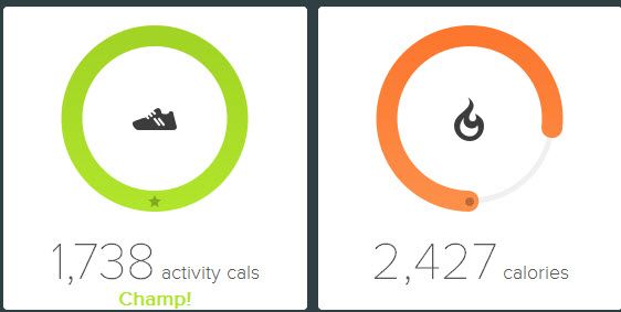Premium test option 1 Dashboard.jpg