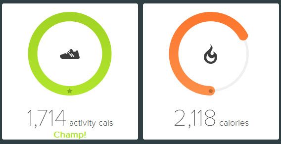 Premium test option 2 Dashboard.jpg