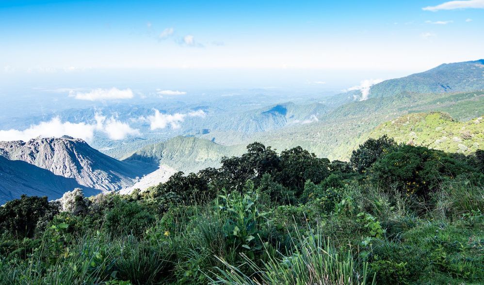 Hike-3 copy.jpg