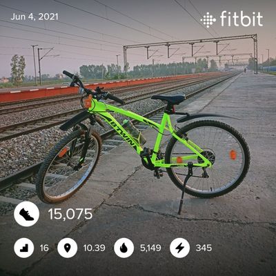 fitbitshare_1456231185.JPEG