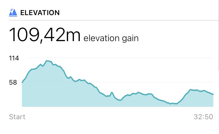 fitbit counting too many steps