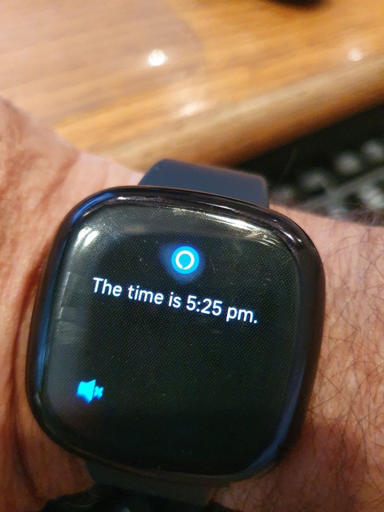 Alexa in fitbit online versa 2