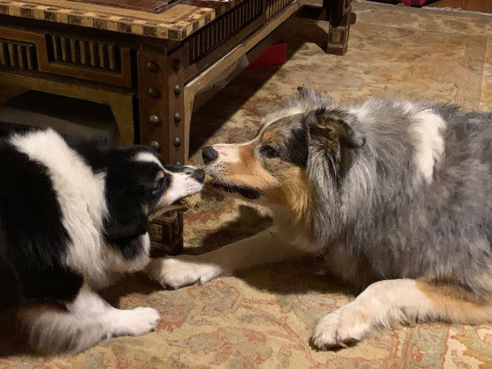 Olympic Tug of War