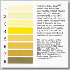 Urine litmus test