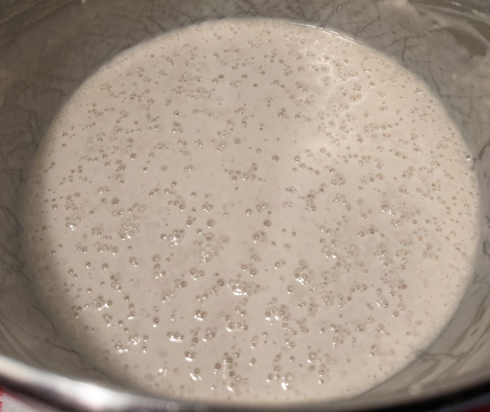 FrenchFlourFerment-Small.jpg