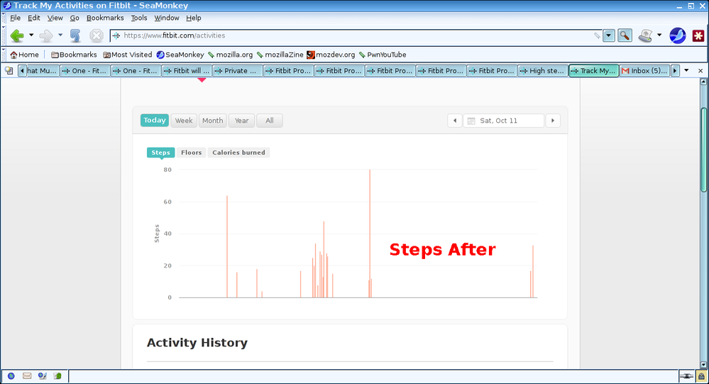 NO Steps.png
