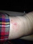 IMG_1471.JPG