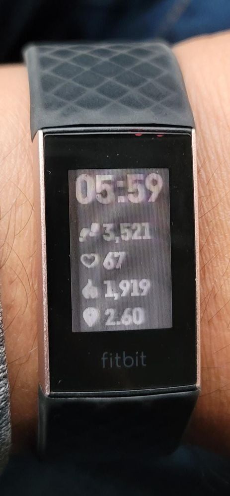 Fitbit_White Screen.jpeg