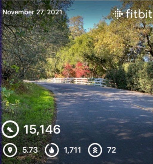 FitbitScreenshot.jpg