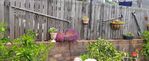 20220104_205813_resized.jpg
