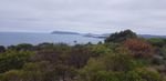 20211230_091232_resized.jpg