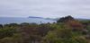 20211230_091232_resized.jpg