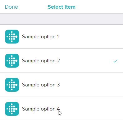 4 options, all visible, Option 2 selected