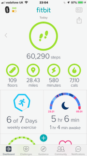 fitbit.PNG
