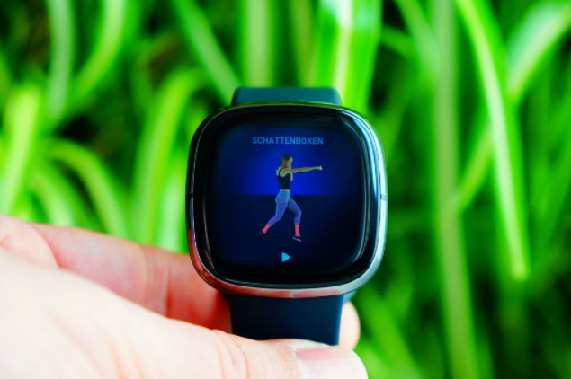 FITBIT1.PNG