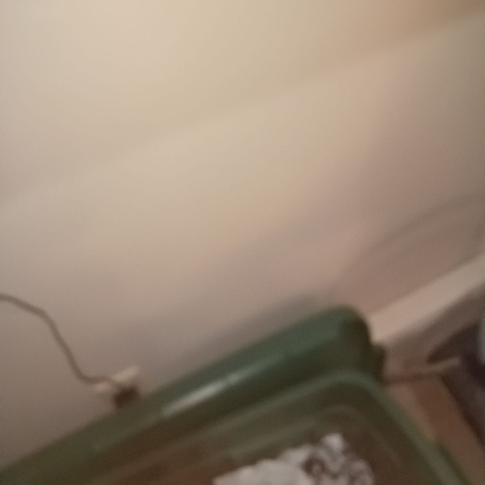20220114_174033.jpg