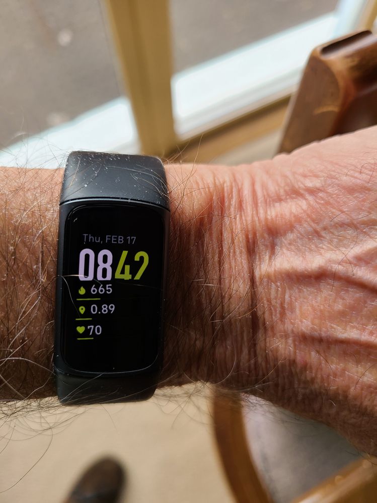 Fitbit Clock Face.jpg
