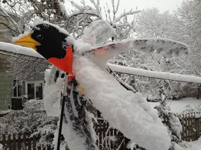 March Snow