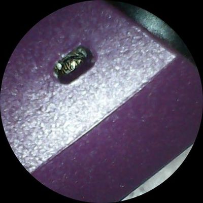 JPG_1647108772792.jpg