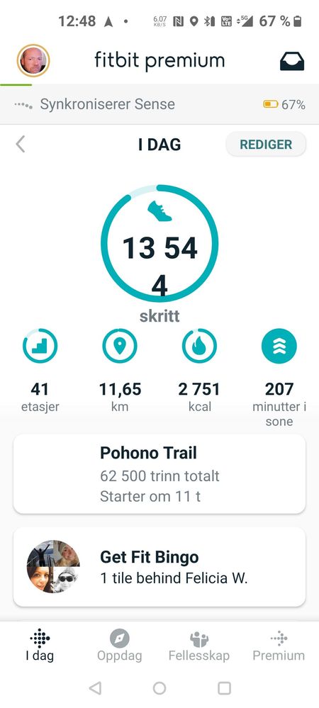 Homans_Vei_App.jpg
