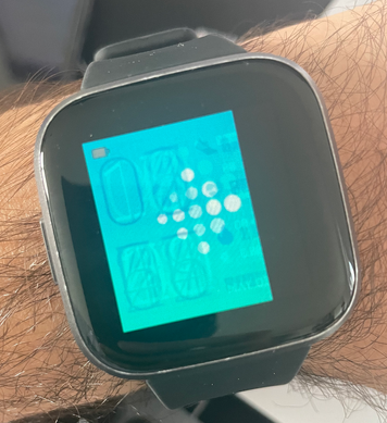 Fitbit versa lite discount display