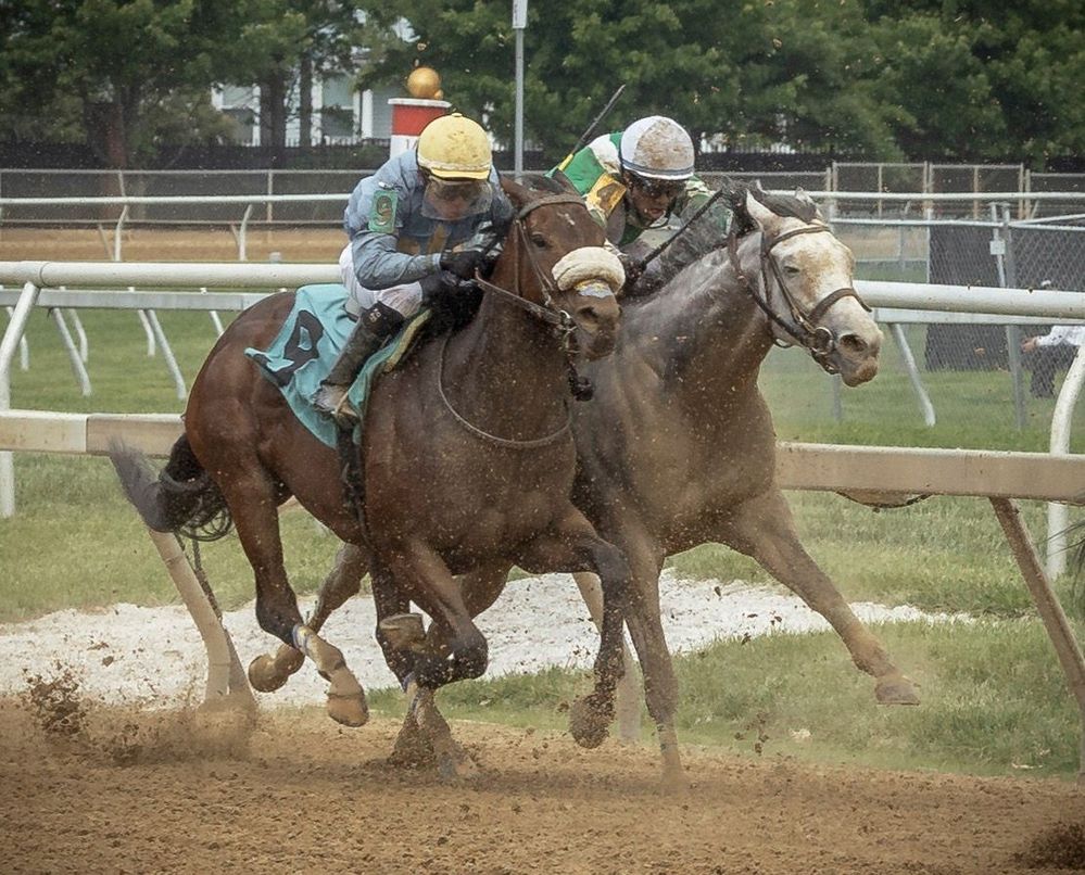 At the races