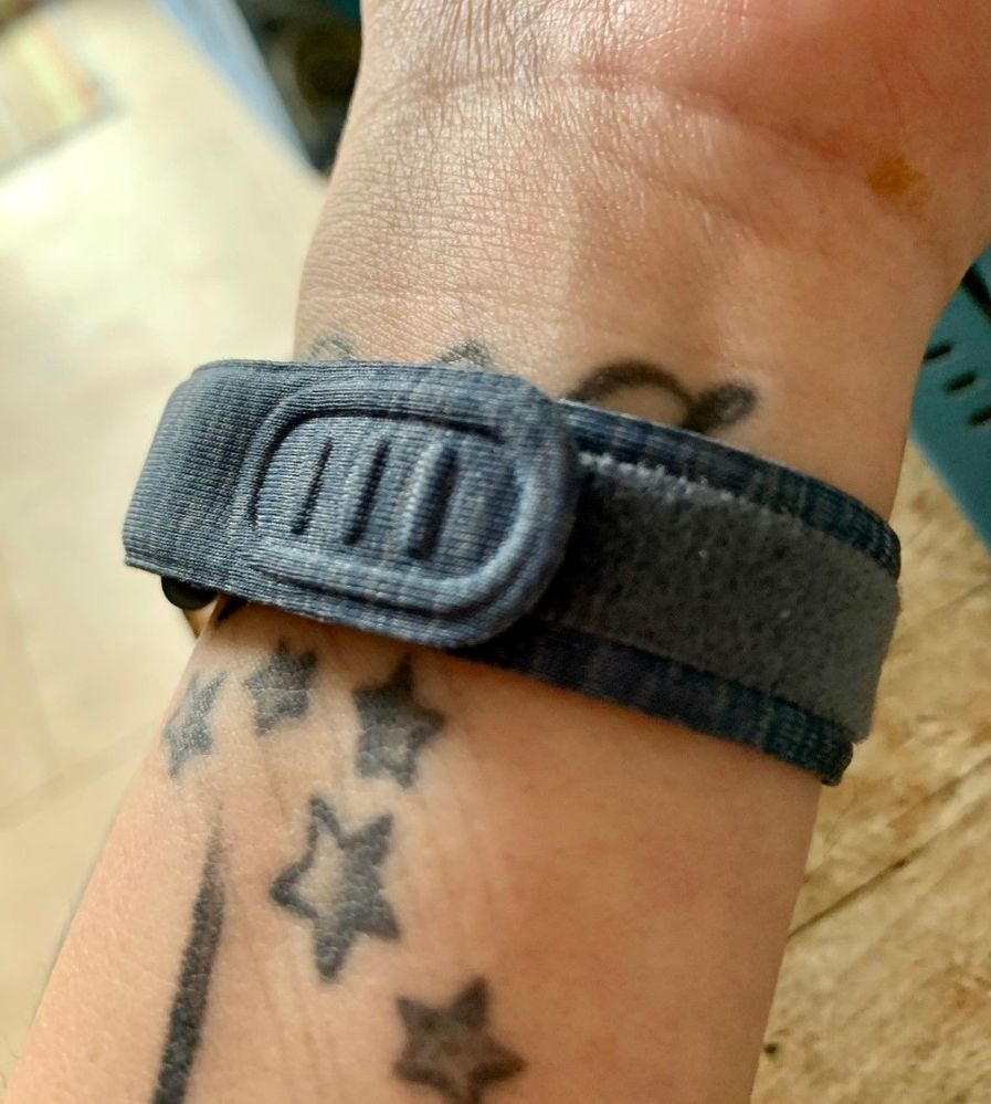 fitbit2.jpg