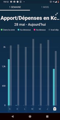 graphique avec kcal absorbée à 0