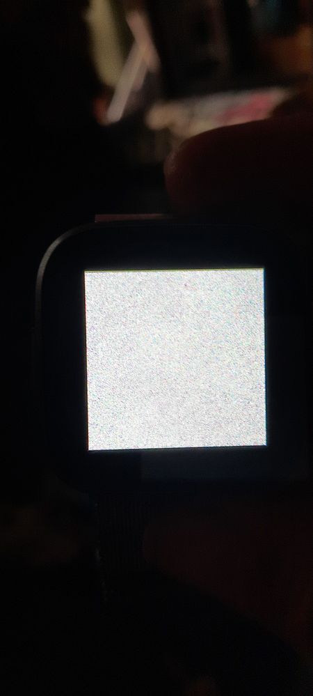 20220622_071825.jpg