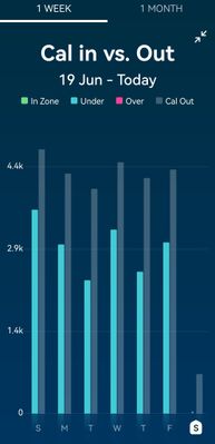 Screenshot_20220625_081322_com.fitbit.FitbitMobile_edit_660459537778387.jpg