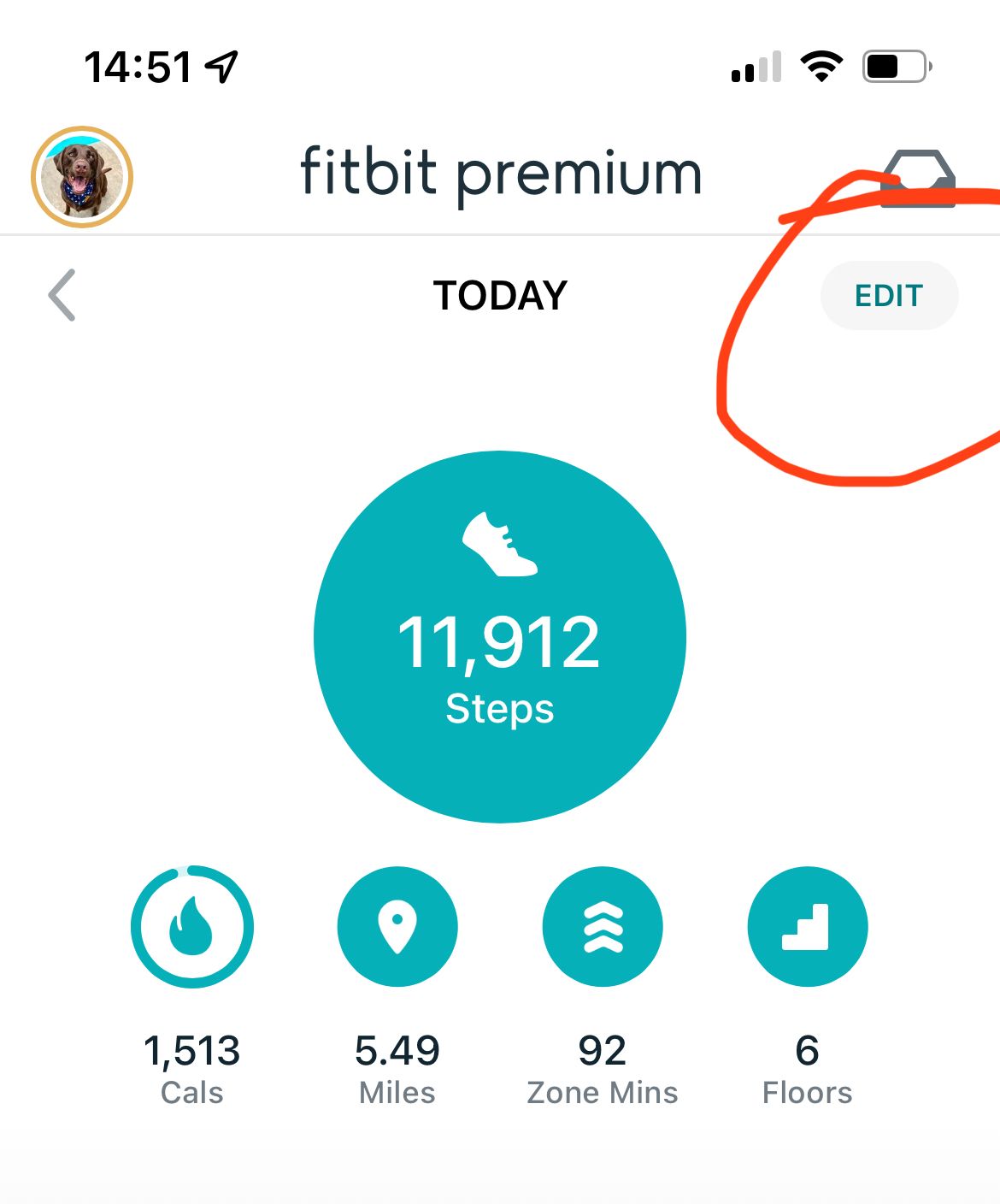 Solved Fitbit app displays miles instead of steps Fitbit Community