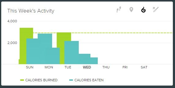 Weekly Activity Picture